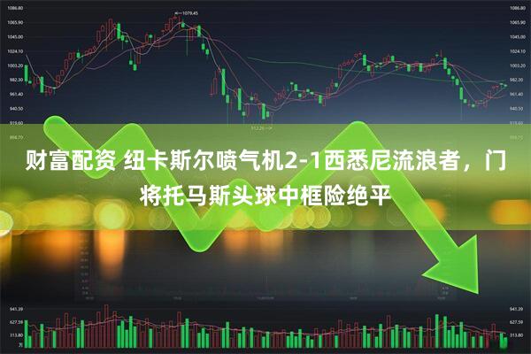 财富配资 纽卡斯尔喷气机2-1西悉尼流浪者，门将托马斯头球中框险绝平