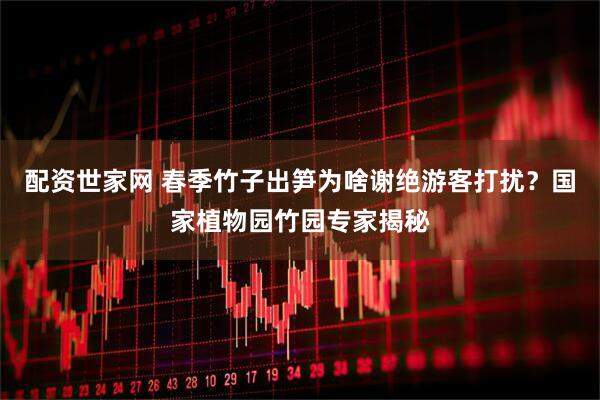 配资世家网 春季竹子出笋为啥谢绝游客打扰？国家植物园竹园专家揭秘